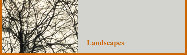 Landscapes